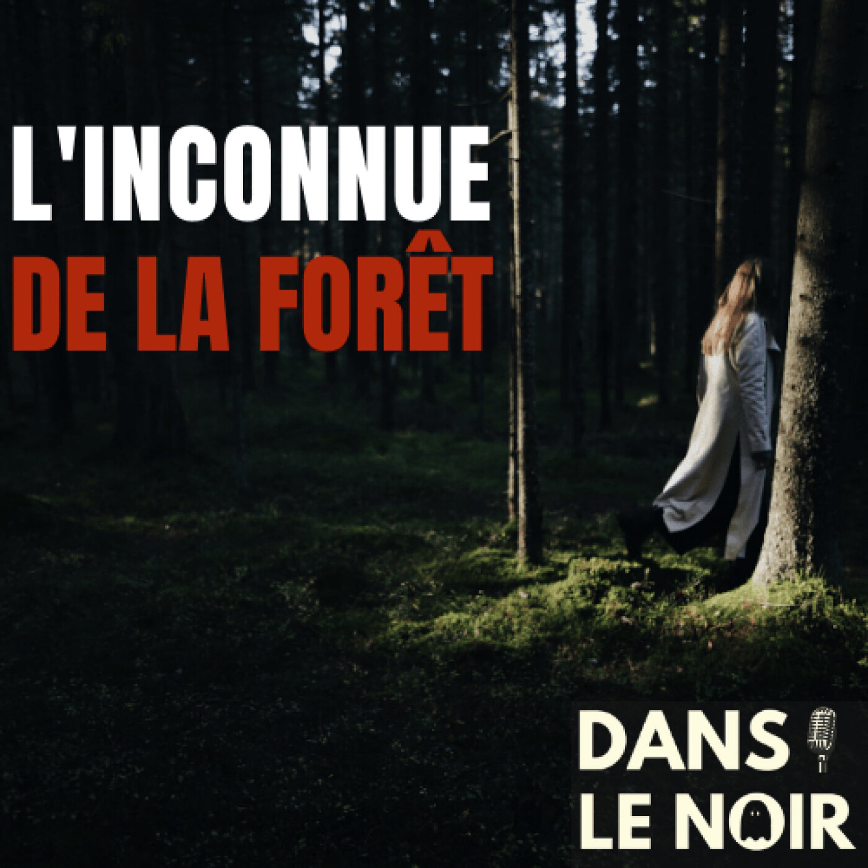 L'inconnue De La Forêt