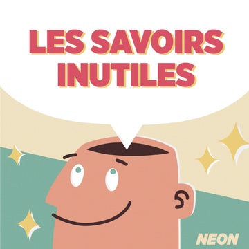 Les savoirs inutiles