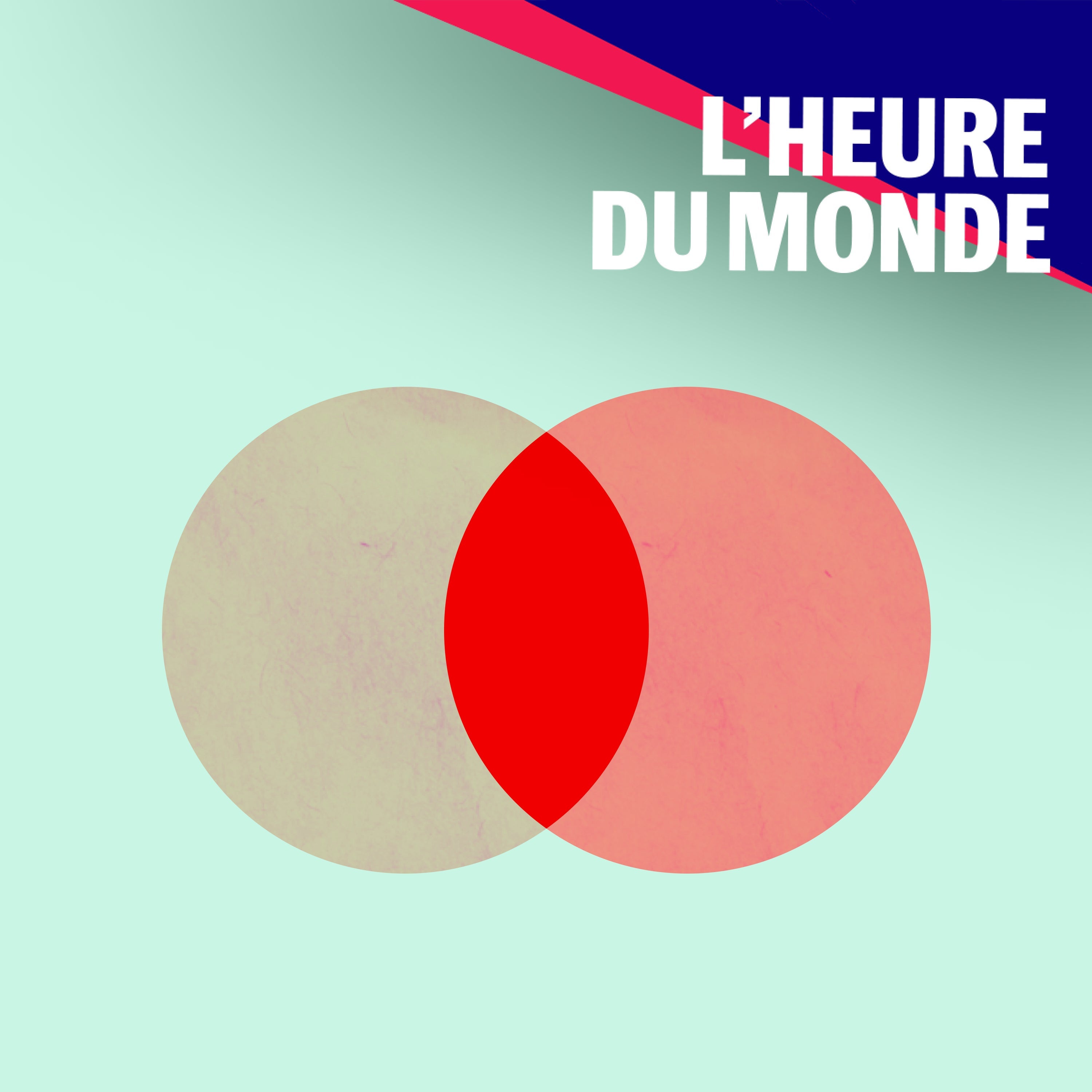 ❤️🔥 Sommes-nous de moins en moins hétéros ? (4/5)