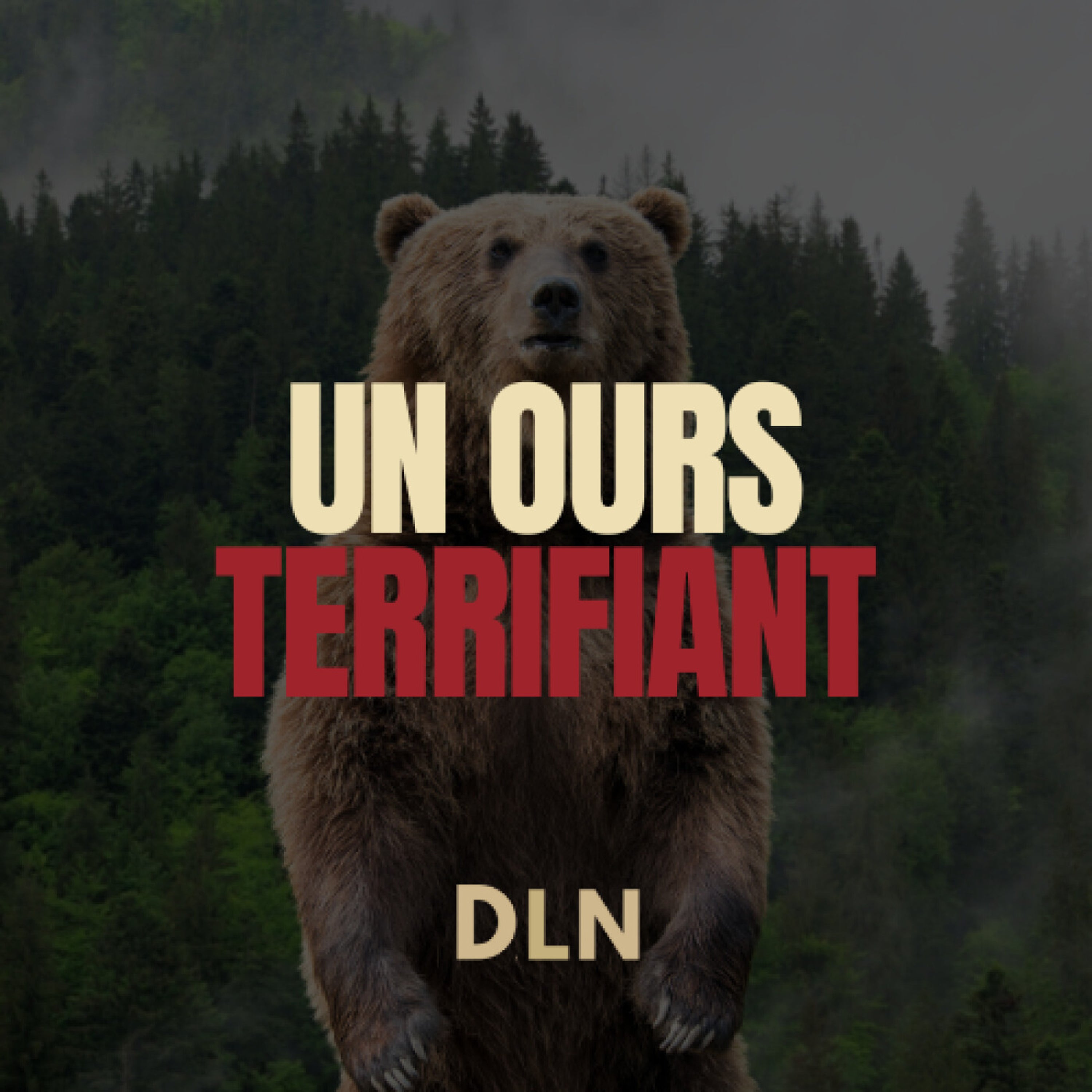 DLN Raconte - Le Greenwater Bear Incident