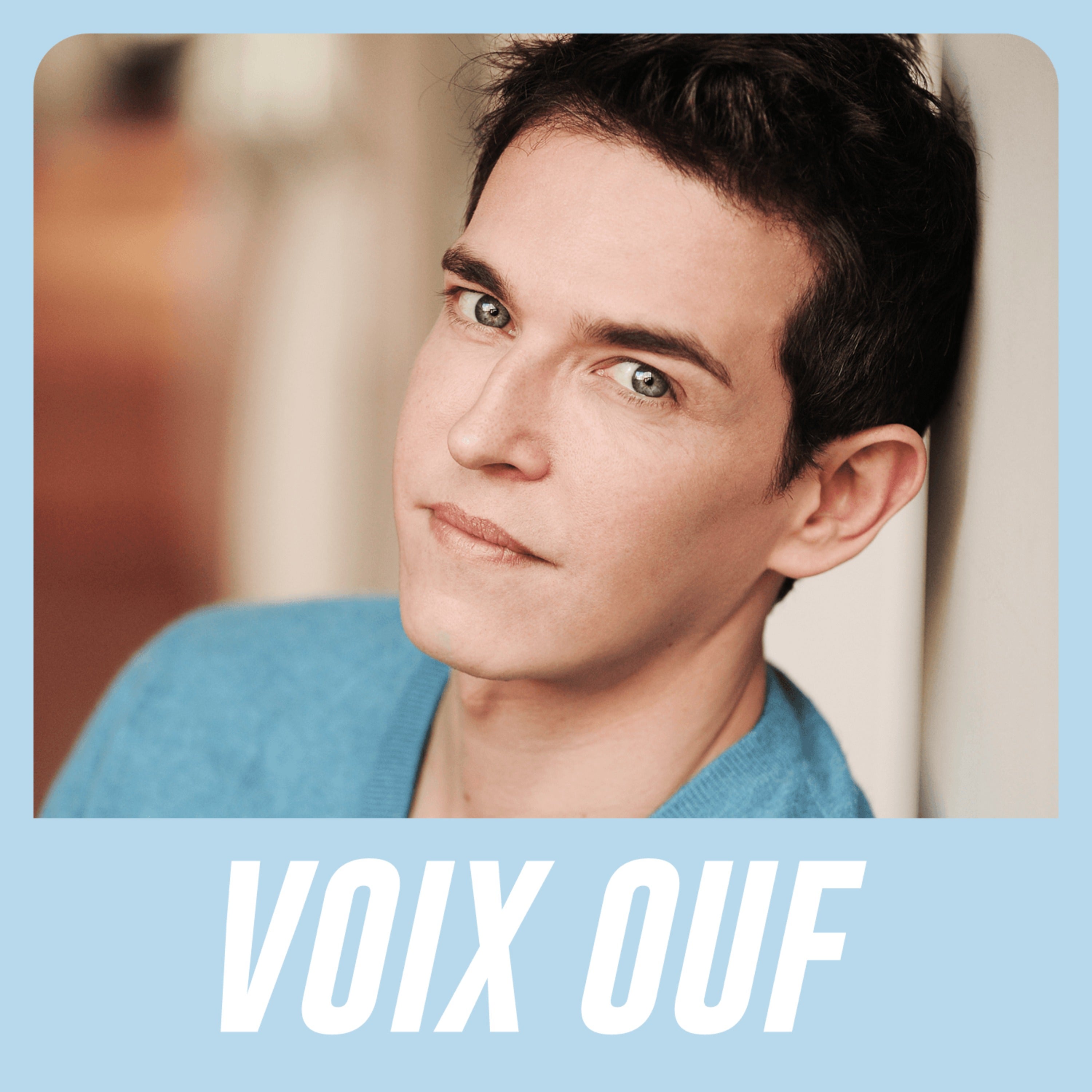 YOANN SOVER : LA VOIX OFFICIELLE DE ZAC EFRON,  BEN WHISHAW... episode artwork