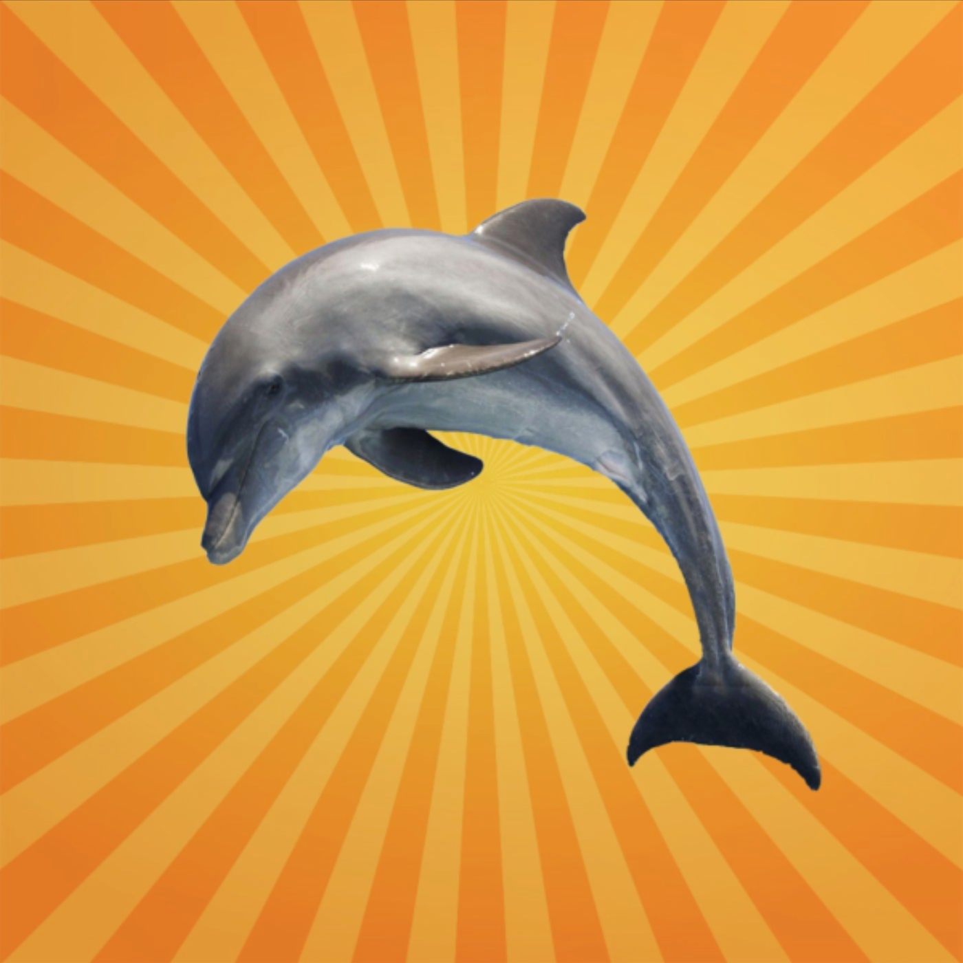 Les dauphins s'appellent par leurs prénoms [REDIFF]