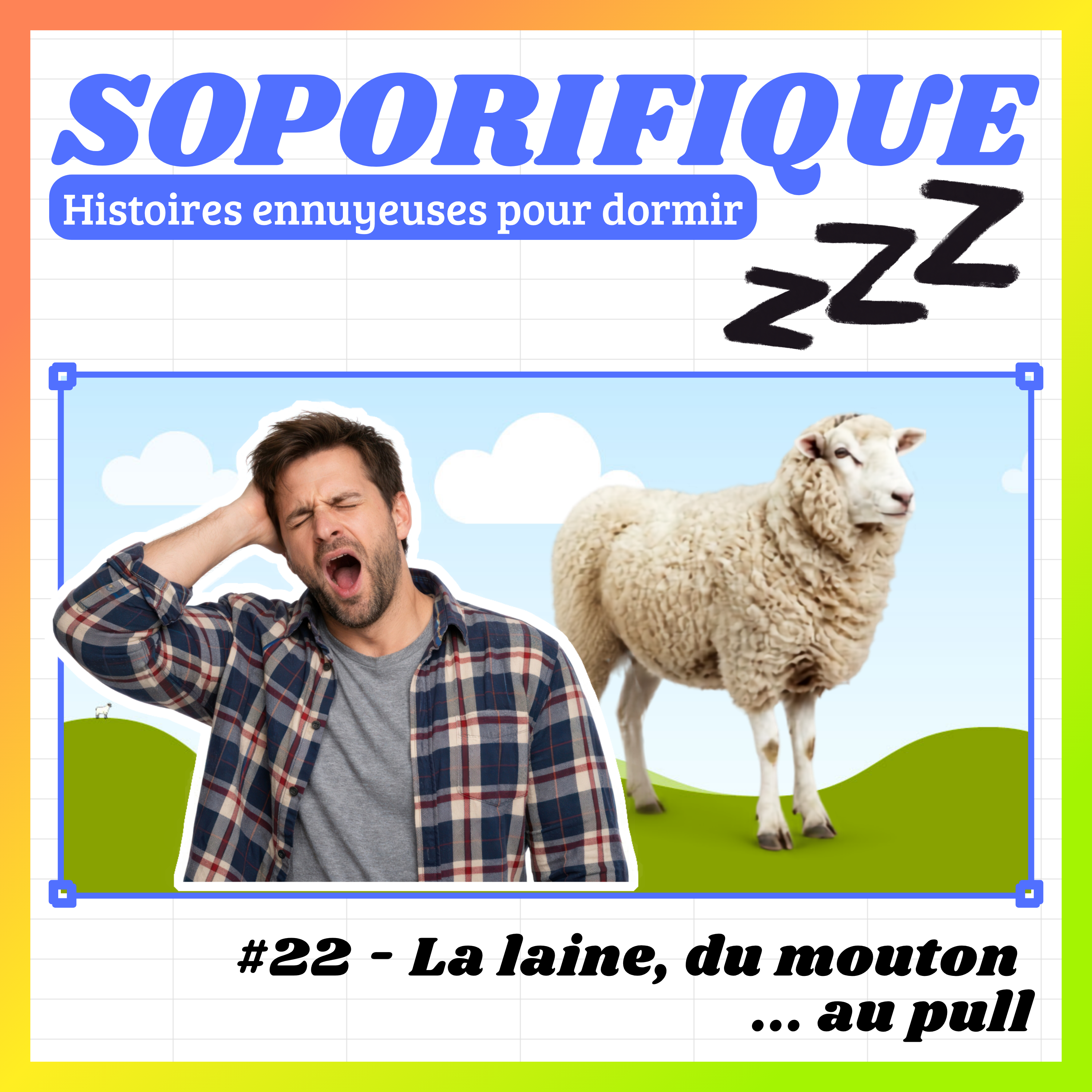 EP22 - La laine, du mouton... au pull episode artwork