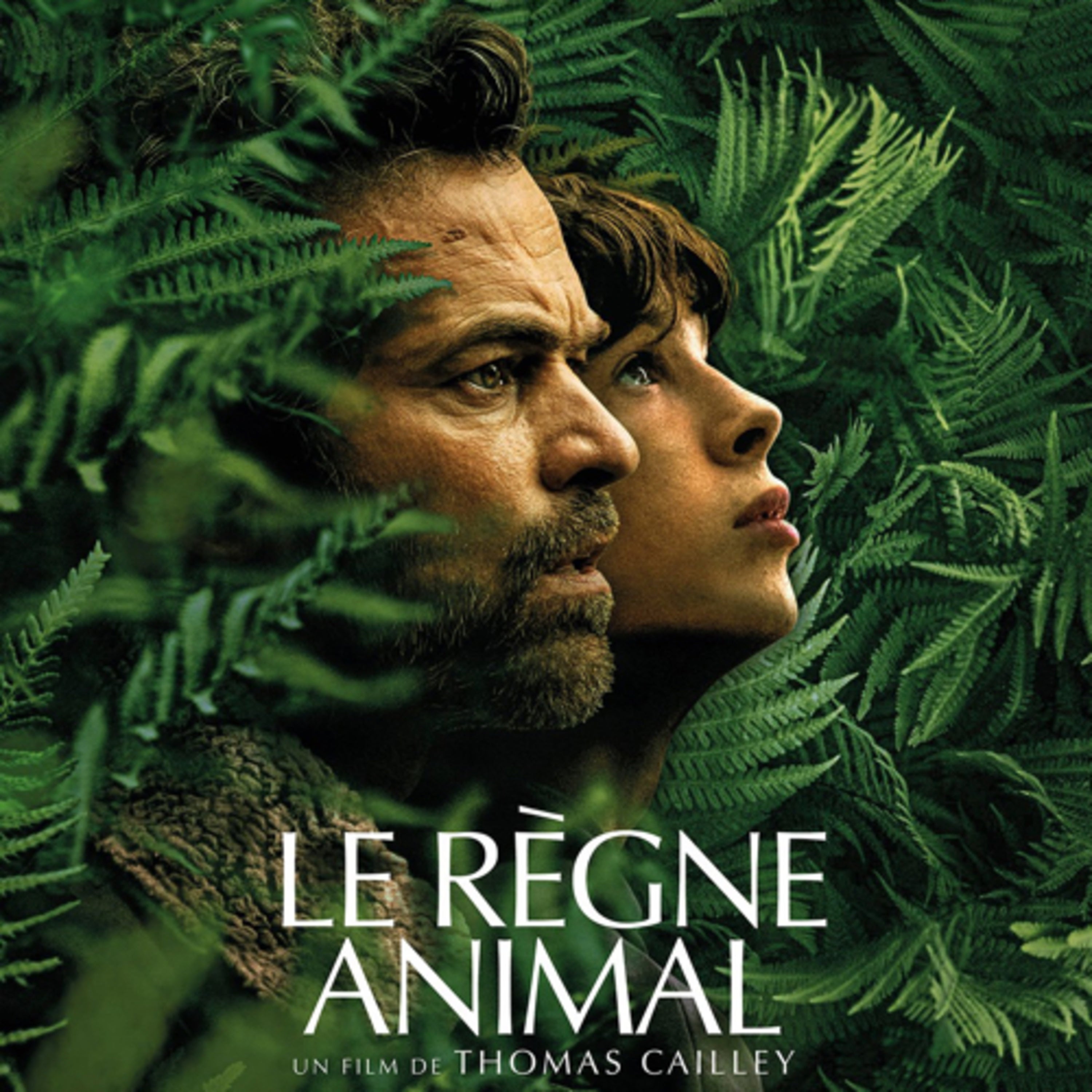 Debriefilm