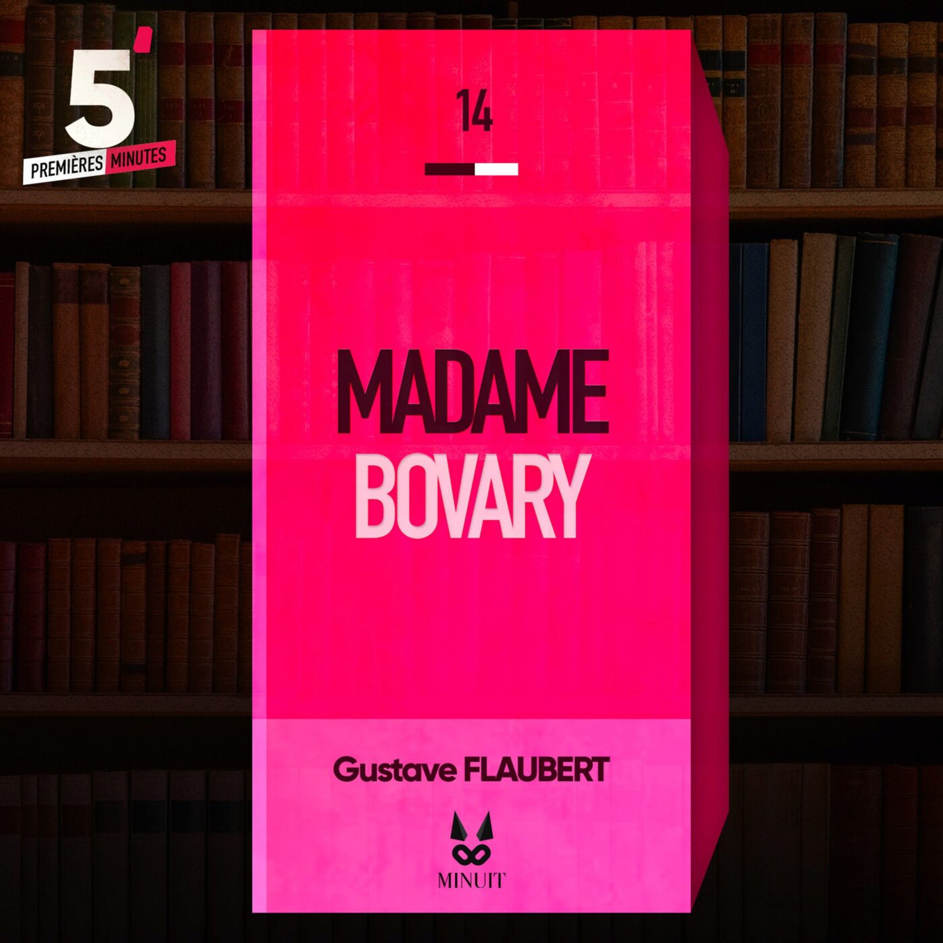 "Madame Bovary" • Gustave FLAUBERT