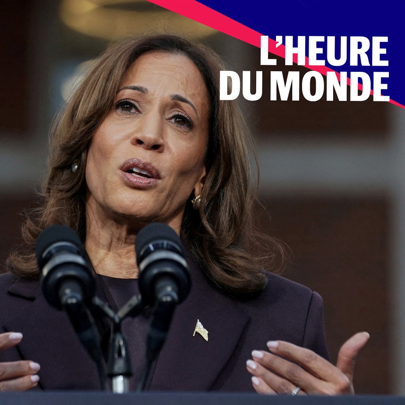 Élection de Donald Trump : pourquoi Kamala Harris a-t-elle perdu ?