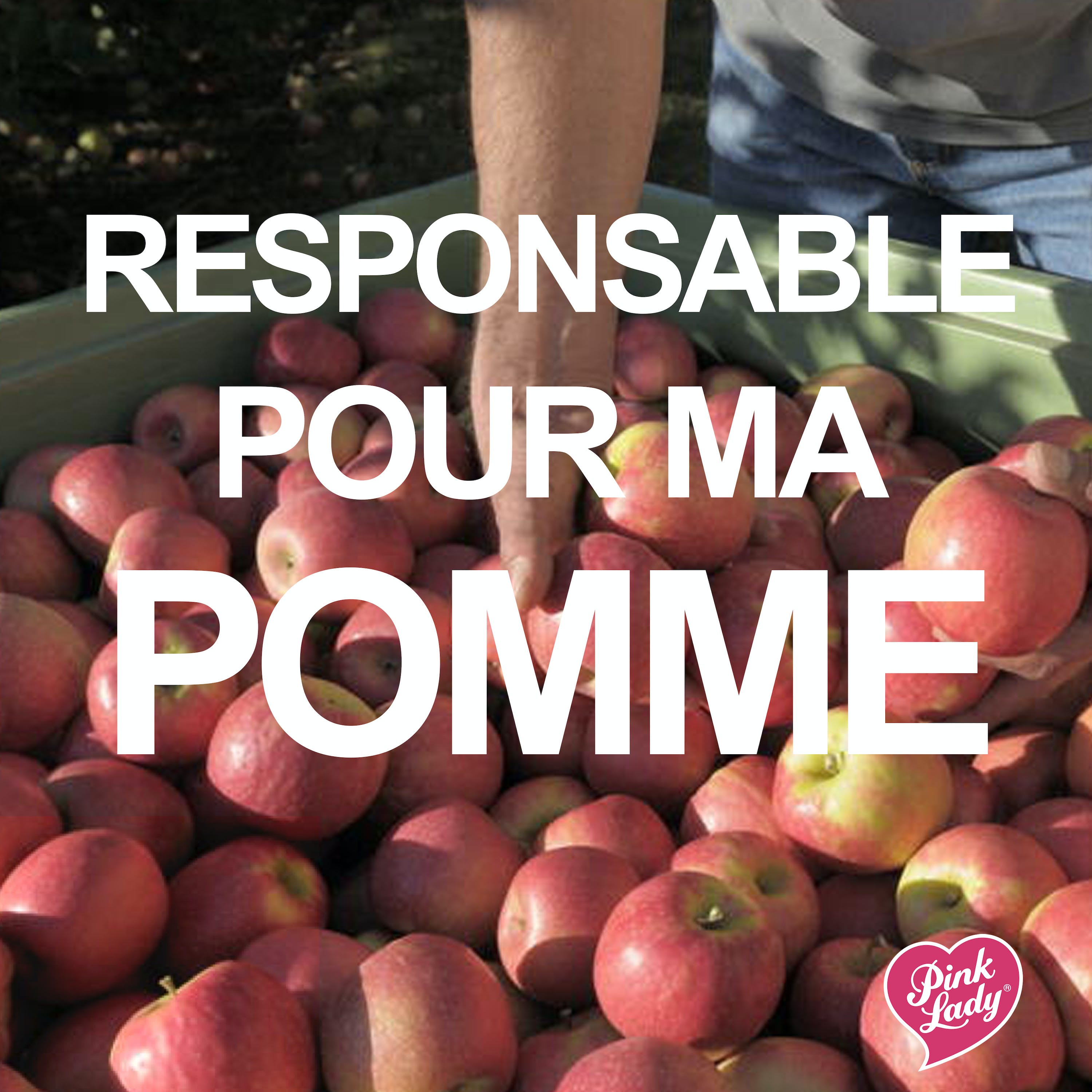 Avoir une consommation responsable, ça veut dire quoi exactement? episode artwork