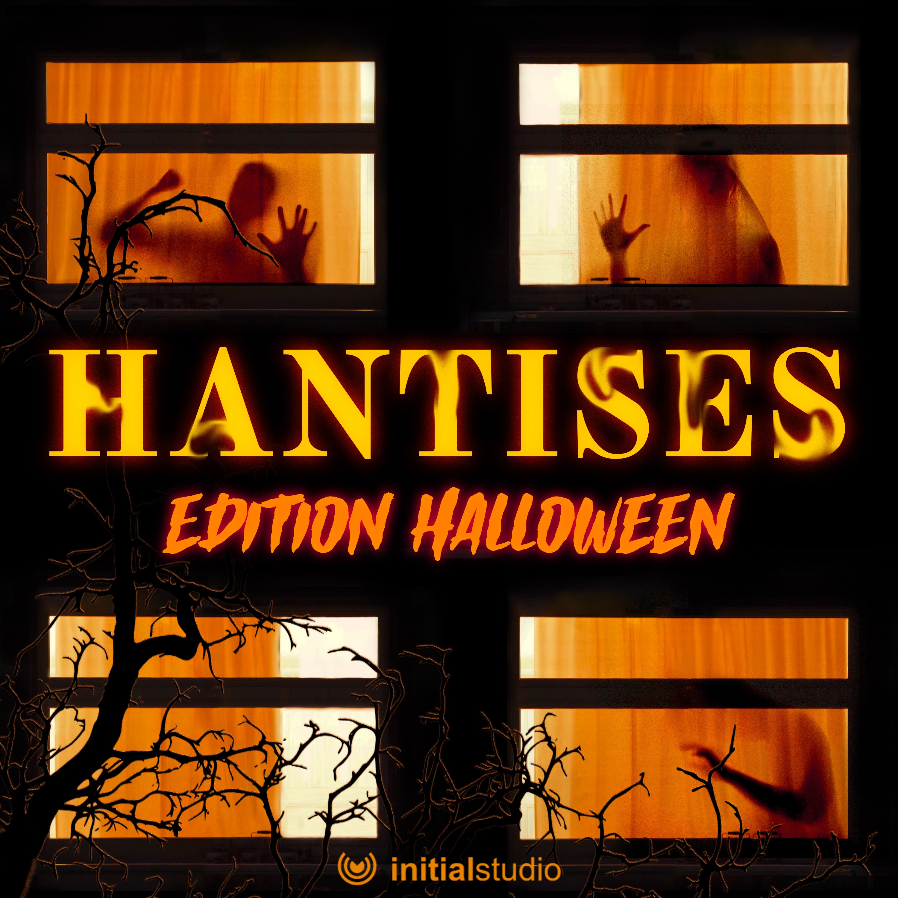 Hantises - La maison de Sallie