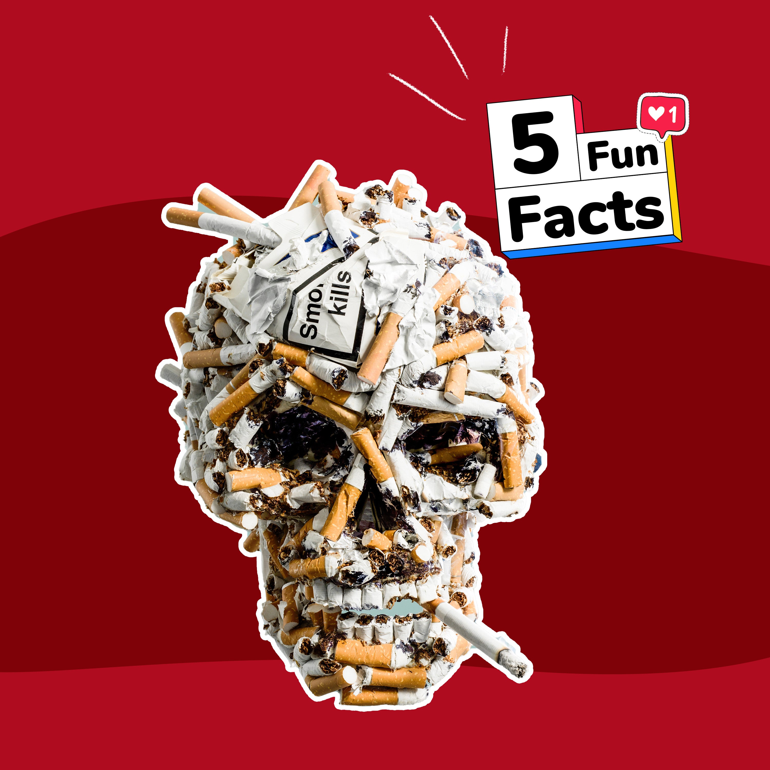 Le TABAC - 5 choses à savoir sur... episode artwork