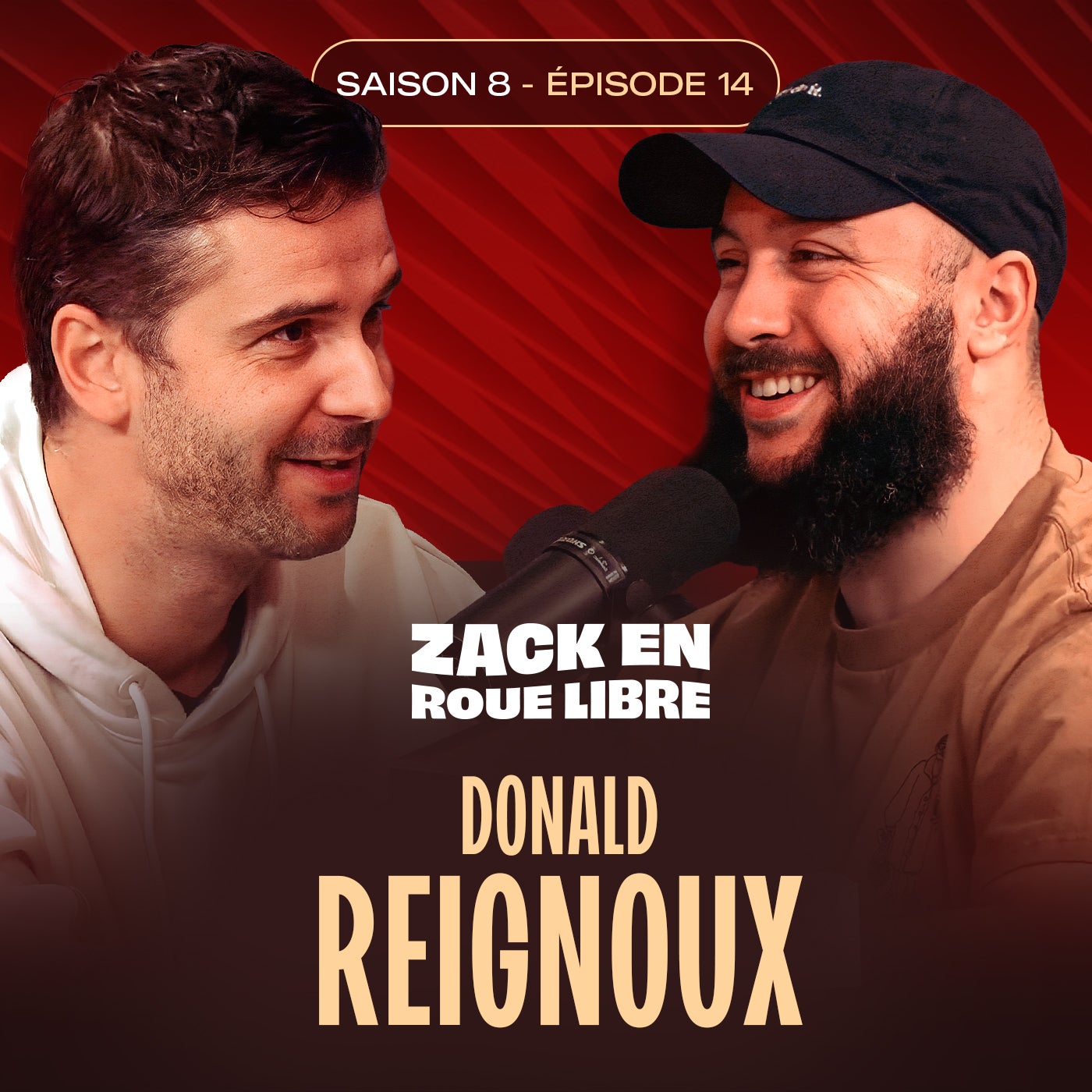 Donald Reignoux, La Légende du Doublage (Spiderman, Titeuf, etc.) - Zack en Roue Libre (S08E14)