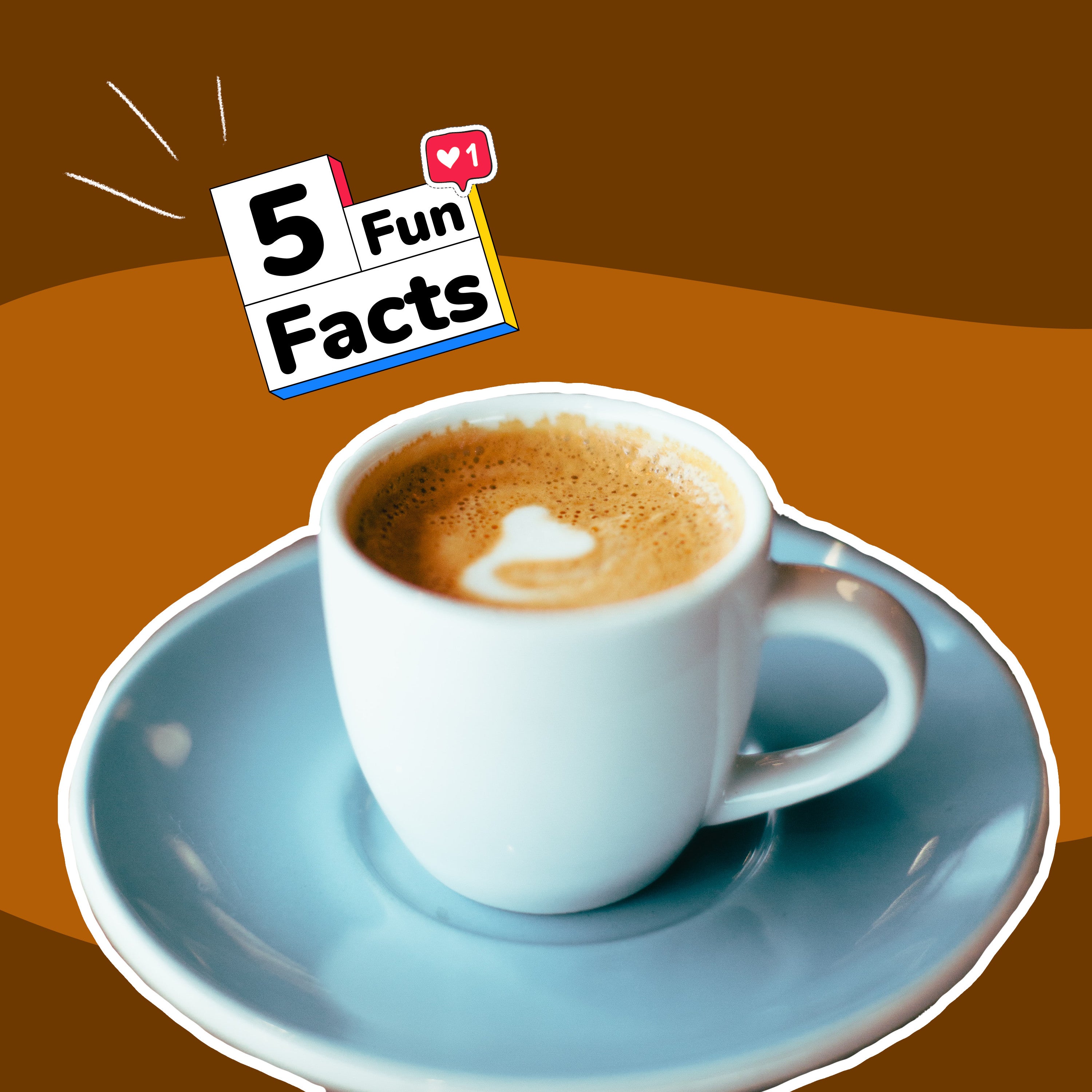 Le CAFÉ - 5 choses à savoir sur... episode artwork