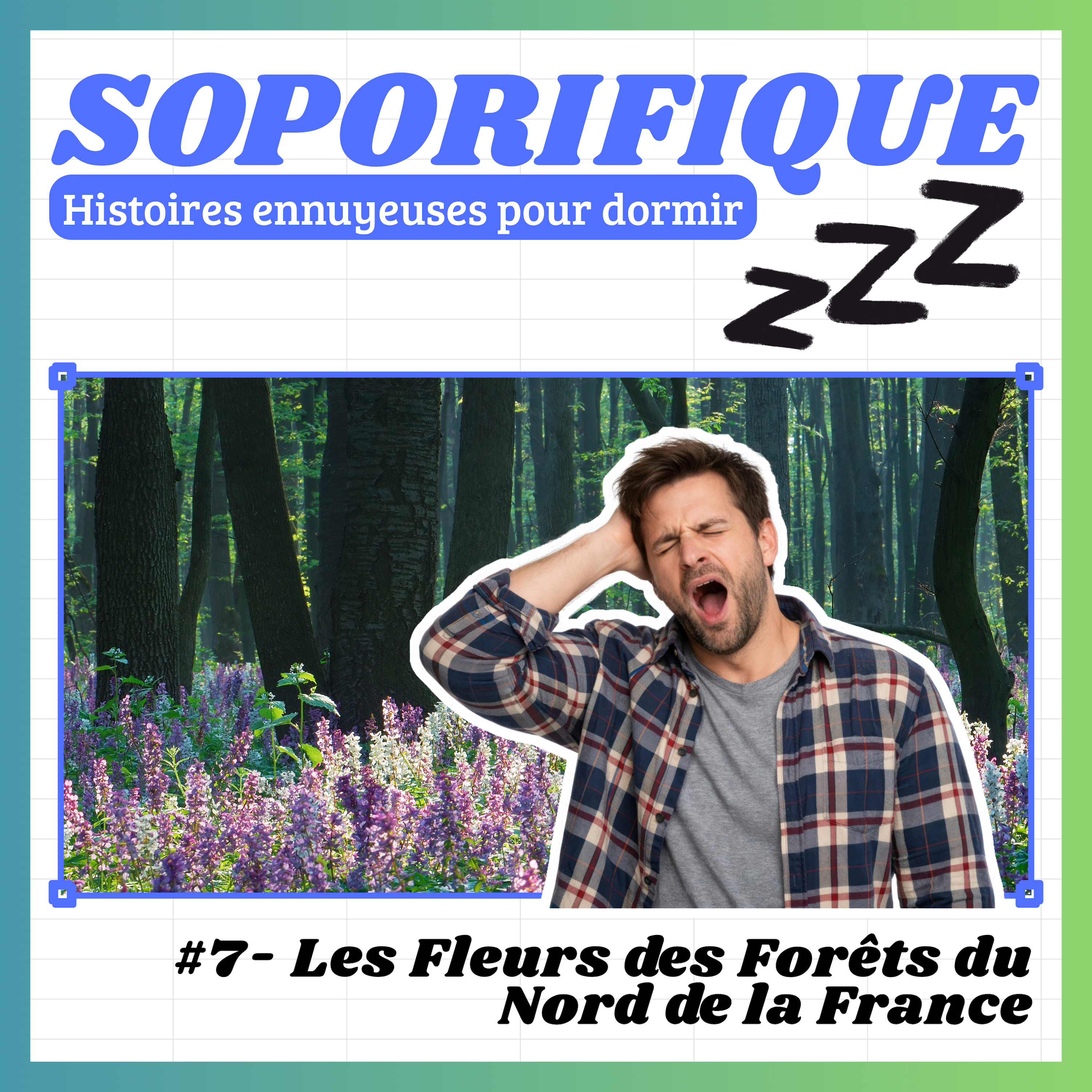 EP07 - Les Fleurs des Forêts du Nord de la France