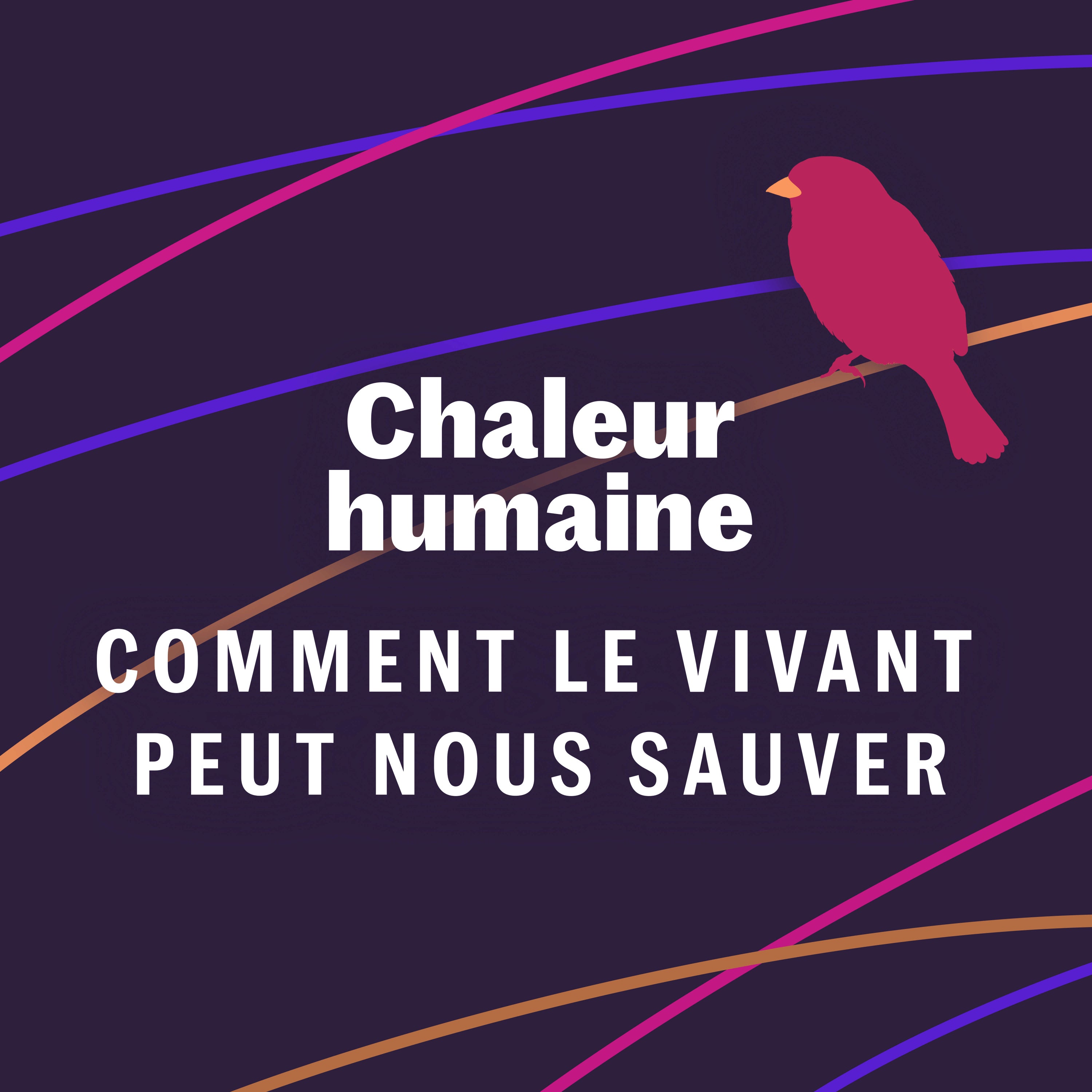 Le chimpanzé  - Comment le vivant peut nous sauver (4/6)
