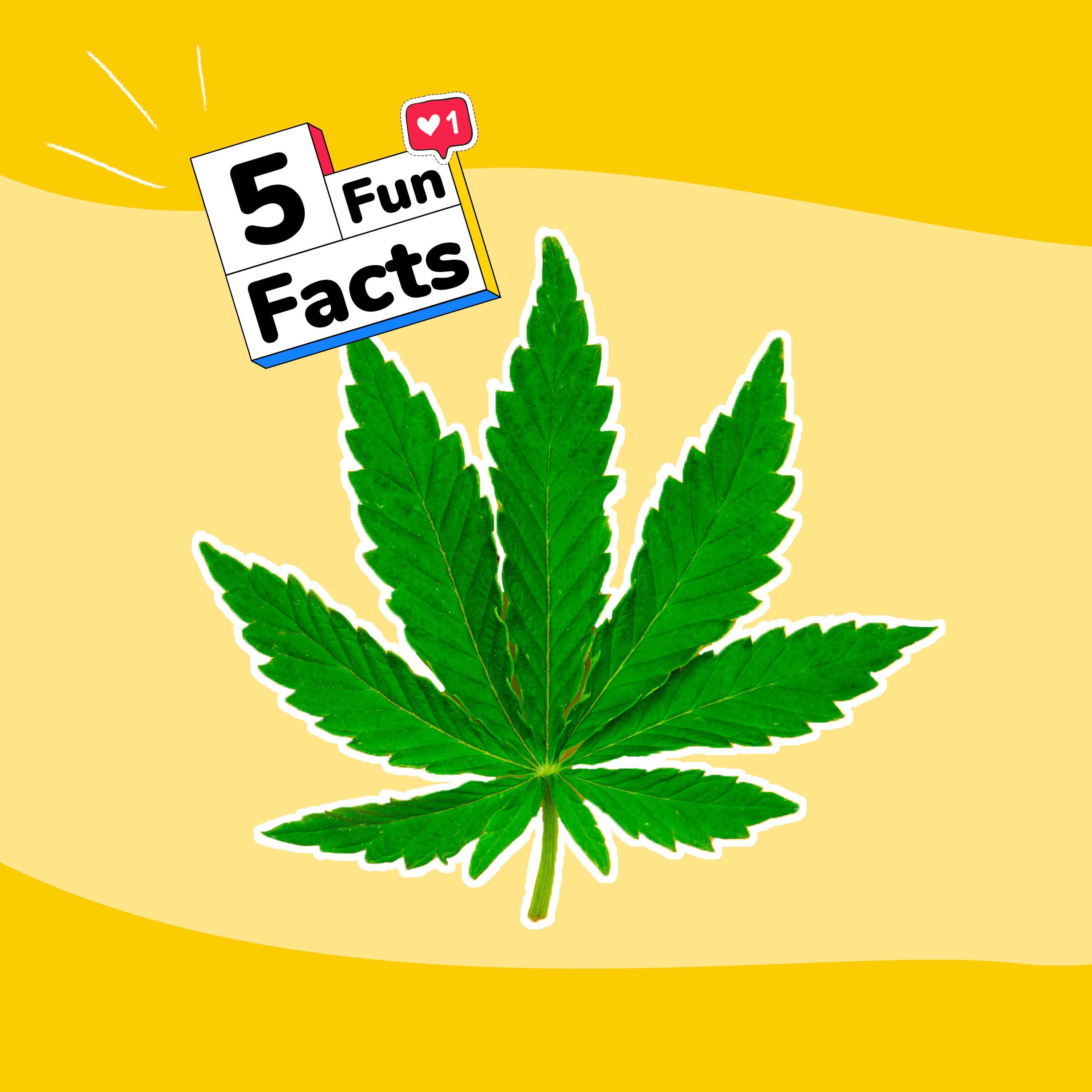 Le CANNABIS - 5 choses à savoir sur... episode artwork