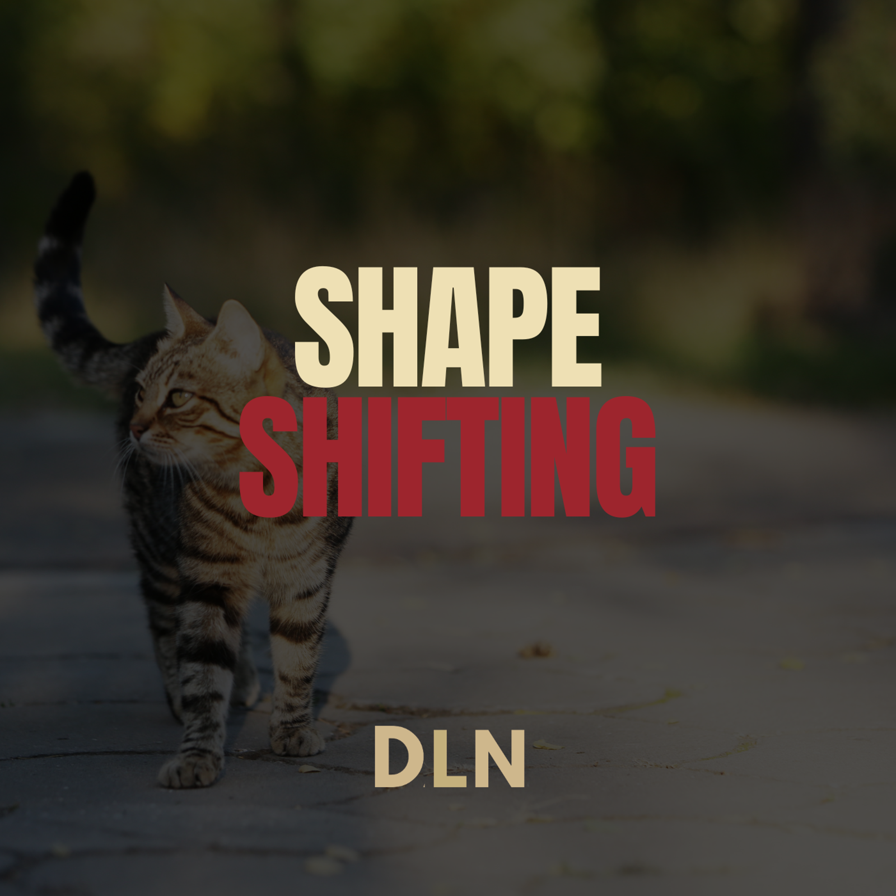 Shape Shifting