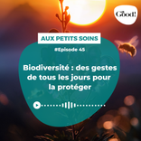 episode artwork