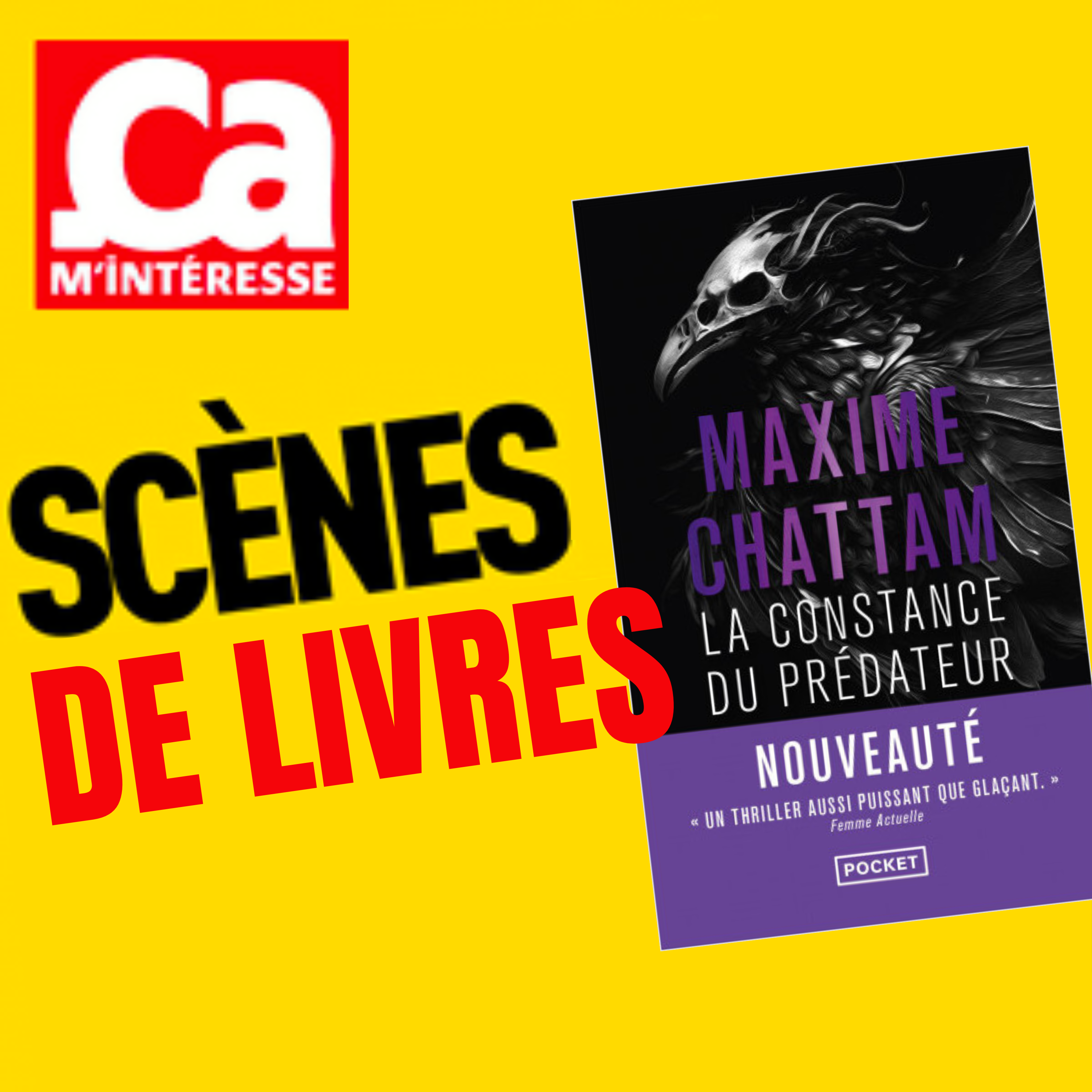 Scènes de livres #1 : La Constance du prédateur, de Maxime Chattam